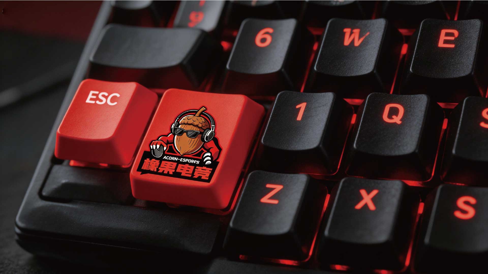 画板 11 副本 6@72x-20.jpg